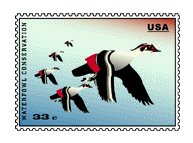 Part2 copy.jpg (37070 bytes)